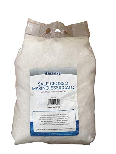 Bestway Sale Marino Grosso Essiccato Sacco 10 kg per Clorinatori Piscina Acqua