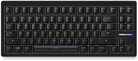 Amazon | Wooting 80HE US配列 Lekker V2 switches Rapid