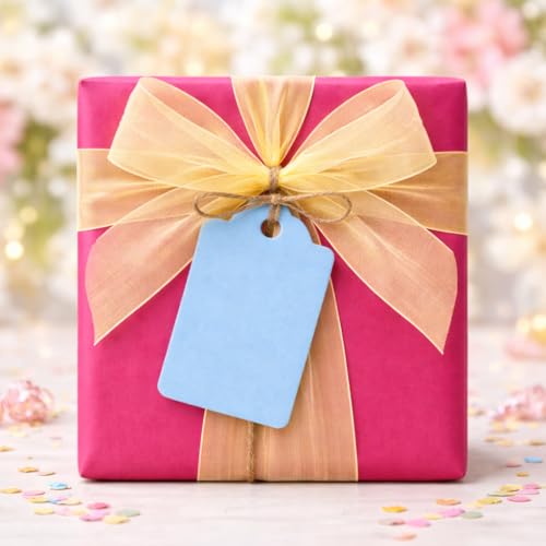 Image of CVANU 300pcs Premium Color Tag Blank Hanging with Pre-Punched Hole Tags for DIY Crafts, Gift Wrapping, Labelling & Writable Decorative Tags for All Occasions (2.85in X 1.7in) Light Blue2