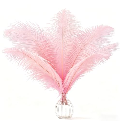 AOOTE Plumes d’Autruche,12 pièces Naturelles Plumes d’Autruche,20-25cm Plume Grand pour Centres de Mariage,Décoration de La Maison,Costume, Loisirs Créatifs(Rose)
