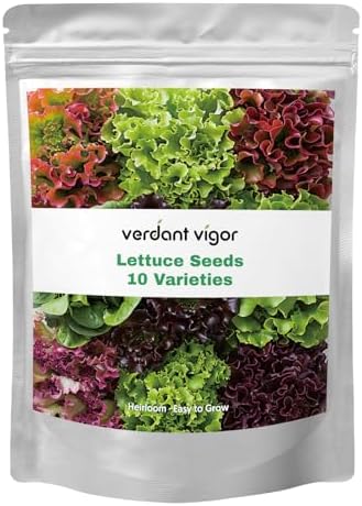 20,000+ Lettuce Seeds 10 Varieties of Fresh Salad Greens