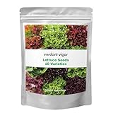20,000+ Lettuce Seeds, Heirloom Vegetable Seed for Planting Indoor Outdoor, 10 Varieties of Fresh Salad Greens for Hydroponics Kit, Easy to Grow for Garden Beginners, Non-GMO