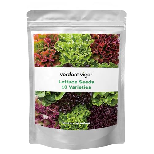 20,000+ Lettuce Seeds, Heirloom Vegetable Seed for Planting Indoor Outdoor, 10 Varieties of Fresh...