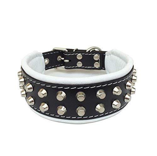 Bestia Rocky Collare Borchiato. Mano Made. Bulldog Francese a Pastore Tedesco