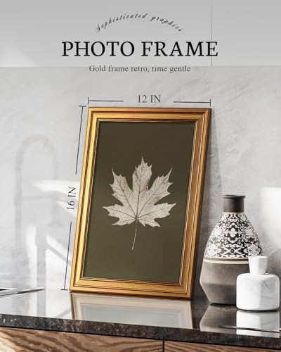 Image of VIYYIEA Vintage Gold Framed Wall Art for Living Room, Maple Leaf Canvas Prints Home Decor, Oil Painting Picture, Bedroom Wall Decor Gifts for Friends or Family -【Maple Leaf Specimen】-(16L x 12W)