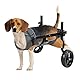 KAJILE Faltbar und Einstellbar Zweirädriger Rollstuhl für Haustiere,Hunderollstuhl für Große und Mittel Hunde,Rehabilitation der Hintergliedmaßen von Haustieren,Grau,L
