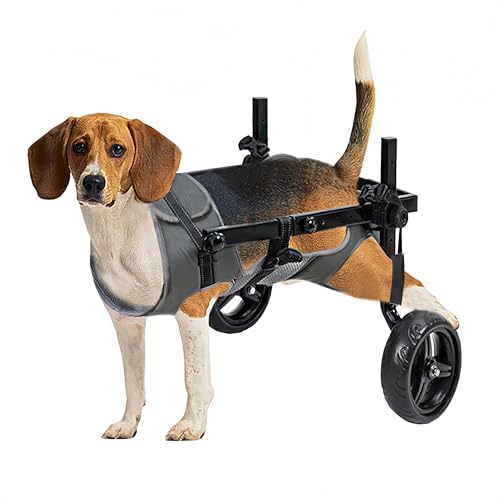 KAJILE Silla de Ruedas de Dos Ruedas Plegable y Ajustable Para Mascotas,Silla de Ruedas Para Perros Grandes y Medianos,Rehabilitación de Mascotas,Gris,L