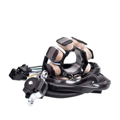 Bobine de stator pour CRF250X anti-surchauffe alternateur 8 pôles