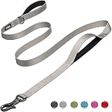 Fida 6 FT Heavy Duty Dog Leash with 2 Comfortable Padded Handles, Traffic Handle & Advanced Easy Sna