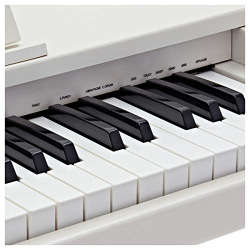 Piano Numérique Junior JDP-1 par Gear4music Blanc - Les Beatles, Paul McCartney, John Lennon, RIngo Starr, George Harrison Piano Numérique Junior JDP-1 par Gear4music Blanc – Image 6