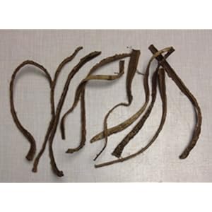 catappa-leaves Catappa Barks 5x20cm (25 gram) origineel A-merkproduct snelle verzending – Catappa Bark Nano schors…