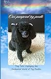 Our Pampered Toy Poodle: Tiny Tails: Exploring the Enchanting World of Toy Poodles