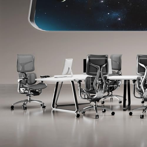 SIHOO Doro S300 Ergonomic Office Chair, Full-Body Coordinated Support - image 8