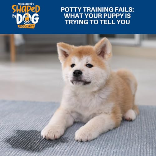 Potty Training Fails: What Your Puppy Is Trying To Tell You #312 cover art