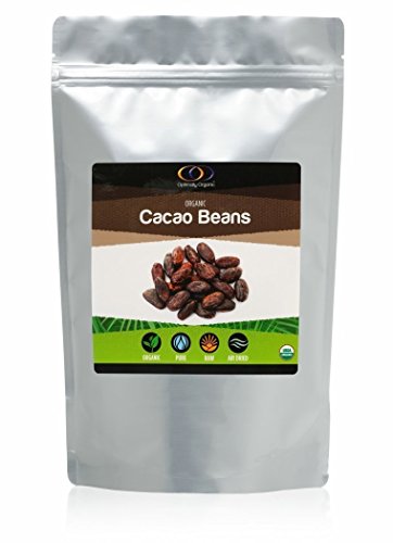 Raw Organic Bali Cacao Beans (Shelled), 1 Pound