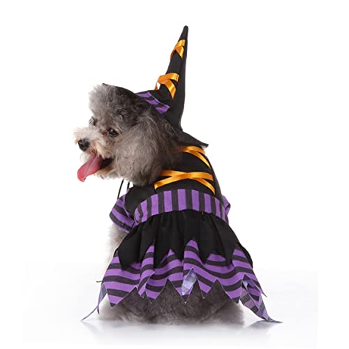 Disfraz creativo de bruja para perros Halloween TEHAUX miniatura 3