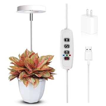 best small grow light