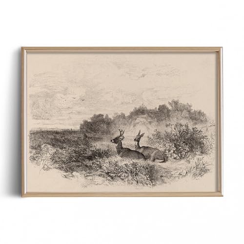 Yumknow Cute Deer Art Print Poster cover