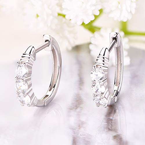 YL Orecchini a cerchio per donna con zirconi