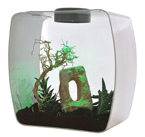 Life Box Terrarium Design en verre haut de gamme pour l'habitat - 6