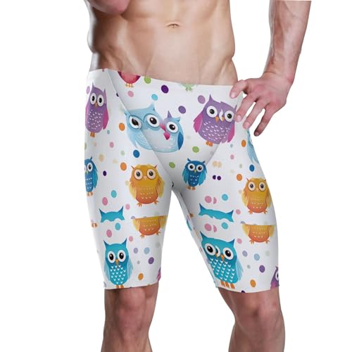 Owl Bird Swim Jammers Swimsuit for Men XXL B0402315
