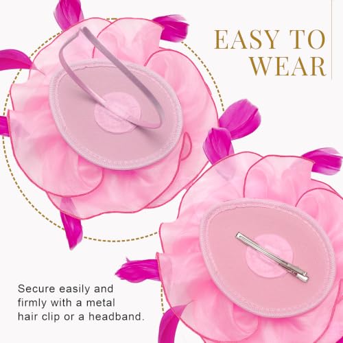 Image of DRESHOW Fascinators Hat Tea Party Headwear Ribbons Feathers on a Headband and a Clip for Women