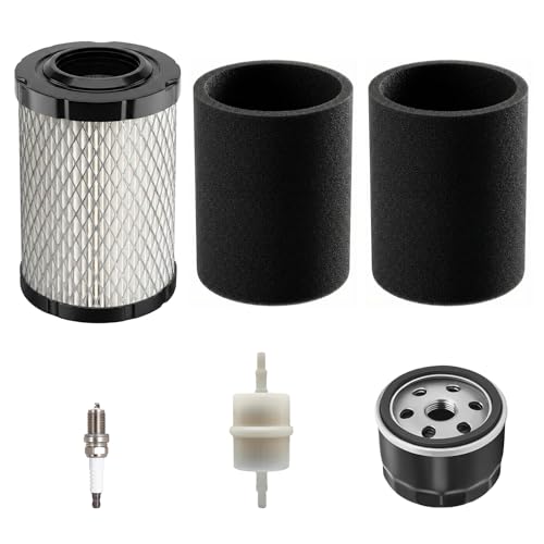 Nerans 796031 Air Filter Tune-Up Kit
