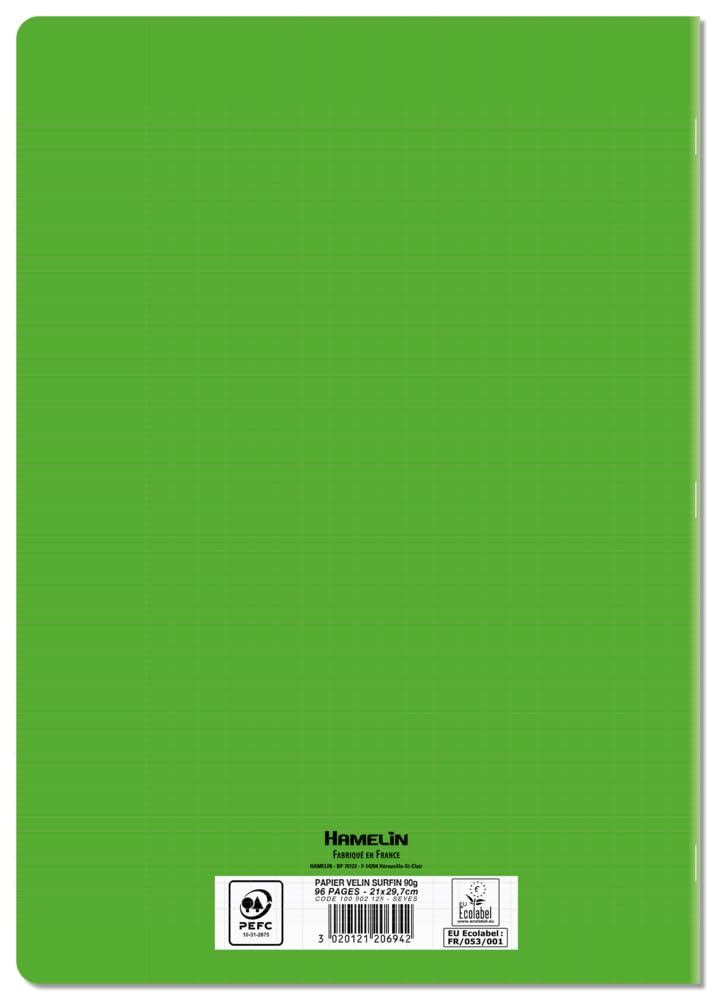 Conquérant Lot de 10 Cahiers Classique A4 Grands Carreaux Seyès 96 Pages Agrafées Couverture Polypro Vert