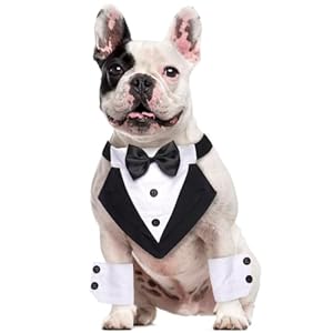 Lelepet Dog Tuxedo with Cuffs, Dog Collar, Bow Tie, Adjustable with D Rings Birthday Outfit, Party, Dog Costume, Pet Costume, Engagement, Dog, Wedding, Tuxedo for Small Dogs