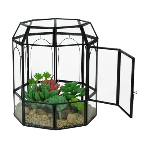 Ferrisland Glass Terrarium with Lid Cover