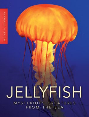 Jellyfish 1584537515 Book Cover