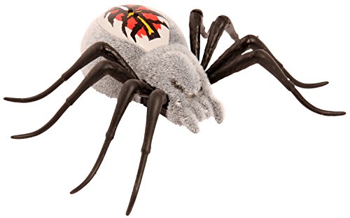 Preisvergleich Produktbild WILD PETS 31794 S2 Spinnen Einzelpackung Pack 2, schwarz