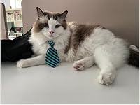 Vista 3 de 4 piezas para mascotas, perro, gato, corbatín, disfraz de mascota, ajustable, collar formal para gatos, perros pequeños, accesorios de aseo