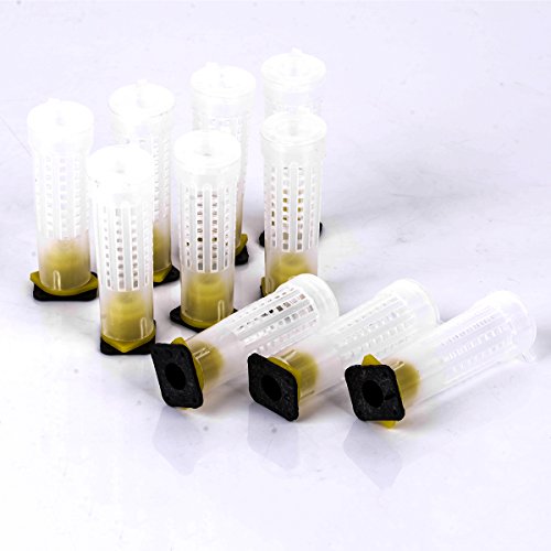 EAGLESTIME 10 x Cages à Rouleaux Apiculture + Porte Gobelet Kit