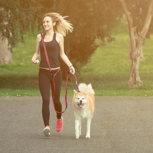 Wisedog 3m Rot doppelendige gummierte Hundeleine Leichtgewichtige Hands Free Leine für Hund rutschfeste Hands Free Hundeleine Fit für Spaziergänge Laufen Camping