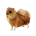 CJWSLYT Peluche animale simulato Pomerania Cane Giocattolo Modello Animale Carino Pomerania Realistico Peluche Regalo Giocattolo Pet Decorazione