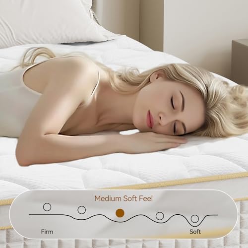 Zhangzhou Fenggui 12" Queen Hybrid Mattress - Motion Isolation - Image 3