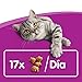 Dentabites de higiene oral de uso diario para gatos de 40g |...