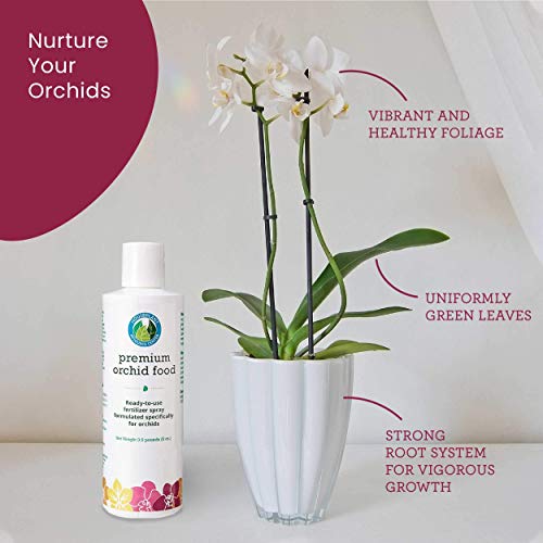 Ultimate Houseplant Fertilizer Bundle #TOP7