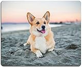 Corgi on The Beach Gaming Mouse Mat, Square Waterproof Non-Slip Rubber Base Mouse Pad for Office, Home, Laptop, Travel, 9.5'x7.9'x0.12' Inch