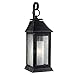 Feiss OL10600DWZ Shepherd Marine Grade Outdoor Patio Lighting Wall Lantern, Bronze, 1-Light (7"W x 17"H) 75watts