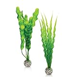 BiOrb Plant Pack, Medium