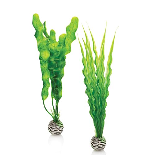 biOrb Plant Pack, Medium