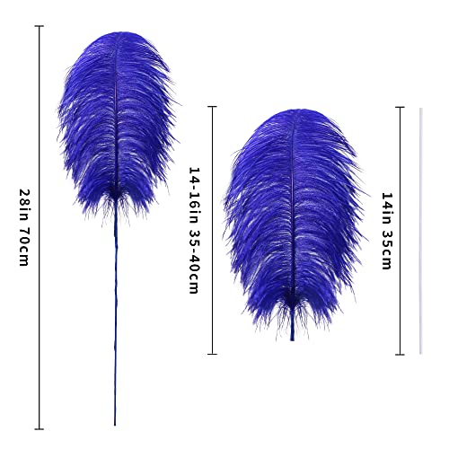 Ballinger Blue Ostrich Feathers Bulk - Making Kit 10Pcs 28 Inch Large Feathers For Crafts, Wedding Party Centerpieces, Vase,Floral Arrangement And Home Decor #TOP6