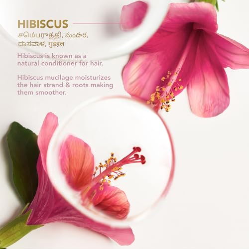 Image of Clinic Plus Strength & Smooth Shampoo, Fenugreek Protein + Hibiscus for Hair Strengthening and Smoother Hair, 175 ml