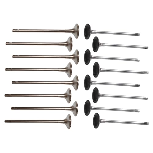 NLQR Intake Exhaust Valves Compatible with BMW Compatible with Mini 118i Cooper S F20 F30 R55 R56 N13 1.6T Replace 11347585901 11347547187