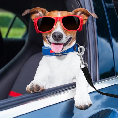 Partideal Schleppleine für Hunde, 5m Trainingsleine mit Handschlaufe und D-Karabiner, wasserdichte Ausbildungsleine für Mittlere und Kleine