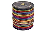 DAMODARAM 1Mm Nylon Macrame Thread Cord/Dori For Art Craft & Diy Projects (100 Mtr, Multi Colour Rainbow), Multicolor