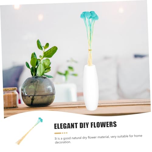 10 piezas Flores Secas Craspedia para Decoración miniatura 5