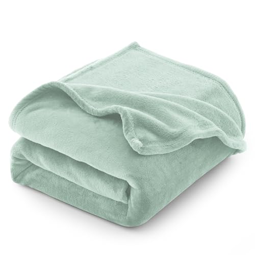 CozyLux Kuscheldecke Flauschig Decke Groß XXL 220x240 cm für 4 Jahreszeiten - Weich/Warm/Leicht Sofadecke Wohndecke Couchdecke für Bett/Sofa/Couch,...